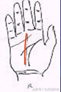 一學(xué)就會(huì)的手相教學(xué)：事業(yè)線、太陽(yáng)線、健康線