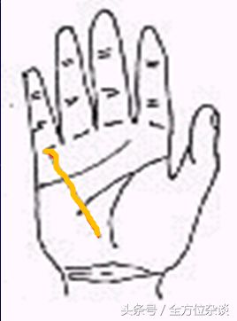 一學(xué)就會(huì)的手相教學(xué)：事業(yè)線、太陽(yáng)線、健康線