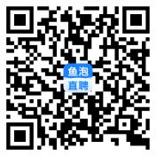 鱼泡网