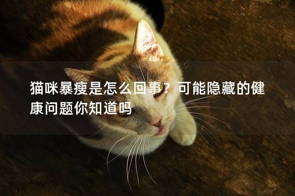 猫咪暴瘦是怎么回事？可能隐藏的健康问题你知道吗