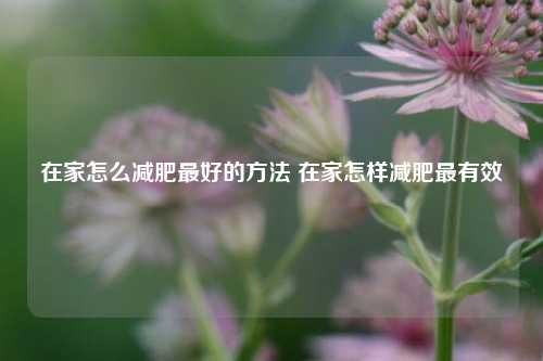 在家怎么減肥最好的方法 在家怎樣減肥最有效