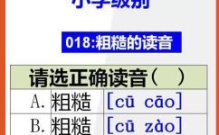 糙的拼音是什么(拼音翻譯糙的拼音是什么？小白不再胡亂猜)