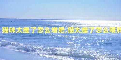 貓咪太瘦了怎么增肥,貓?zhí)萘嗽趺次古?></p><h3>貓咪太瘦了怎么增肥,貓?zhí)萘嗽趺次古?/h3><p>　　 想要給貓咪增肥，首先就要保證豐富的飲食，當(dāng)它身體中的脂肪、蛋白質(zhì)含量不足的時(shí)候就會(huì)很瘦，選擇的貓糧應(yīng)該是高蛋白的，喂養(yǎng)貓糧的同時(shí)，還可以適當(dāng)補(bǔ)充微量元素以及多種維生素。</p><p>　　其次就是要定期驅(qū)蟲，貓?bào)w內(nèi)有寄生蟲的話也會(huì)影響增肥。</p><p>　　最后就是調(diào)理腸胃，只有這樣才能更好的吸收營養(yǎng)。</p><p>　　以上是貓咪太瘦了怎么增肥,貓?zhí)萘嗽趺次古值脑敿?xì)答案，以及瘦貓?jiān)趺礃幼屗L(zhǎng)肥，貓貓?zhí)萘嗽趺答B(yǎng)胖啊，我家貓咪瘦怎么才能長(zhǎng)胖，貓咪太胖了怎么減肥，小貓咪太胖怎么樣才能瘦下來等生活問題中的小常識(shí)，更多有趣的生活知識(shí)盡在本站的首頁。</p><p style=