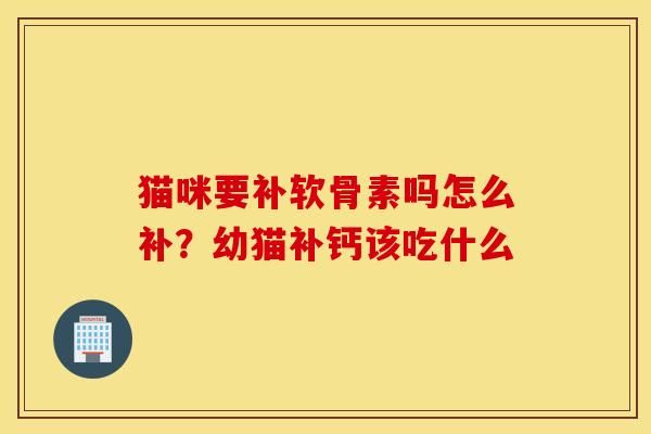 貓咪要補(bǔ)軟骨素嗎怎么補(bǔ)？幼貓補(bǔ)鈣該吃什么