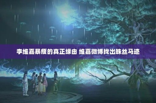 李维嘉暴瘦的真正缘由 维嘉微博找出蛛丝马迹
