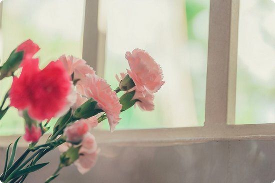 張柏芝懷三胎體重163產(chǎn)后兩月減46斤：你的肉肉怎么可以這么聽話？