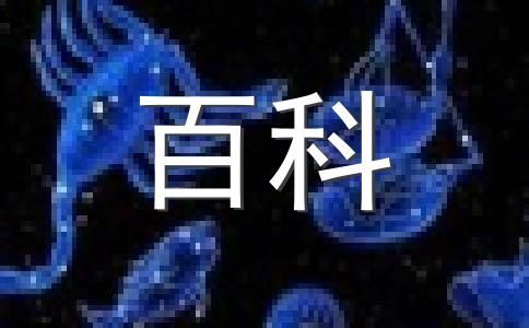 瘦的人怎么變胖