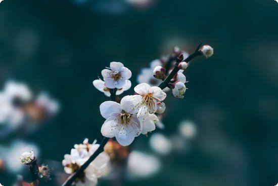 工作兩年胖20斤,久坐瘦身妙招學(xué)回家