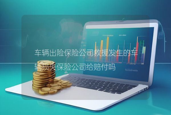 车辆出险保险公司救援发生的车辆损失保险公司给赔付吗