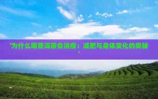 '為什么喝普洱茶會(huì)消瘦：減肥與身體變化的奧秘'
