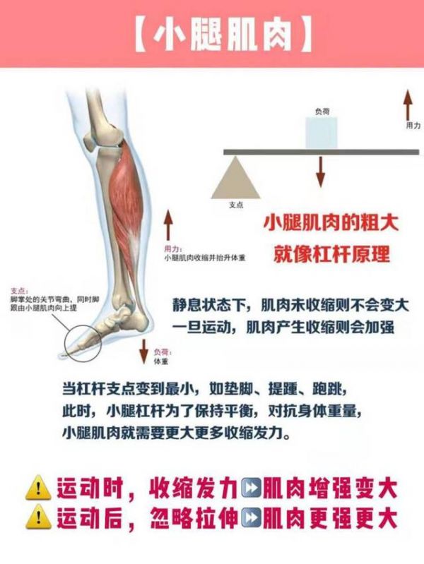 瘦腿最快秘籍（經(jīng)期瘦腿瘦腿最快秘籍）-第3張圖片