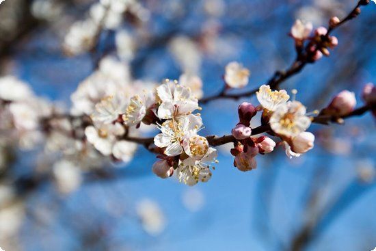 懷孕初期經(jīng)常腿麻怎么回事？腿麻應(yīng)該怎么辦？