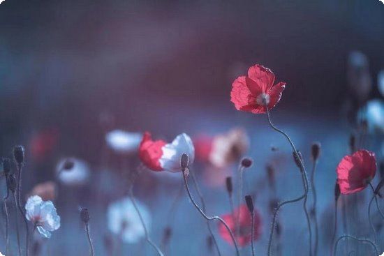 巧吃鸡蛋也能暴瘦15天激减20斤