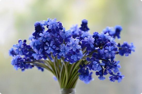 一周雞蛋瘦身餐15天必暴瘦18斤