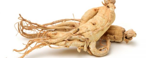 脾气虚弱如何食补 脾气虚吃什么食物 脾气虚吃什么好