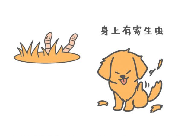 罗威纳偏瘦是怎么回事？
