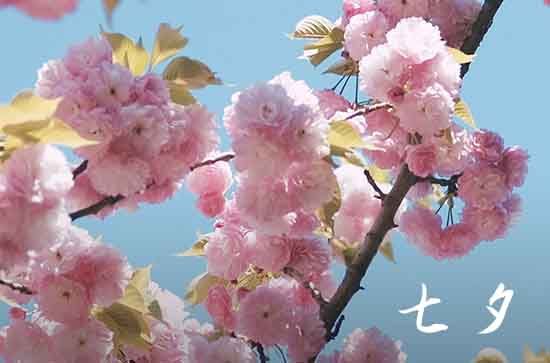 減肥怎么發(fā)朋友圈