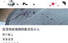 近期高發(fā)！嚴(yán)重或致白肺！廣東疾控緊急提醒...