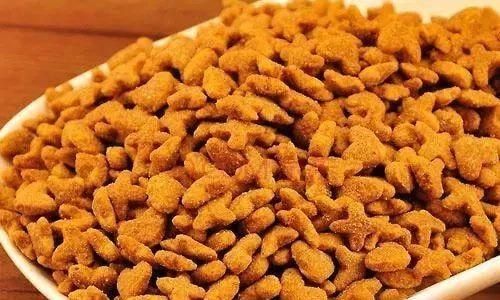 絕育后的貓咪愛(ài)睡覺(jué)吃的也少，絕育后貓咪吃什么增食量