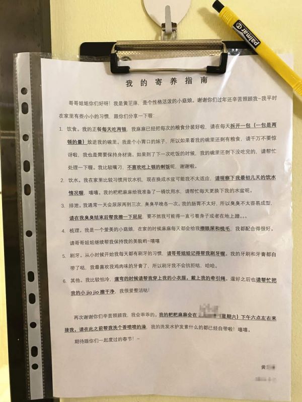 放假出游家里猫狗宠物怎么办？了解一下宠物寄养服务