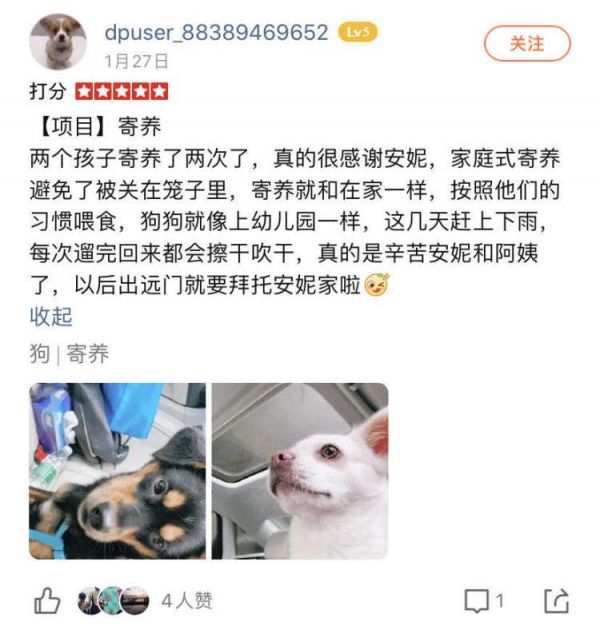 放假出游家里猫狗宠物怎么办？了解一下宠物寄养服务