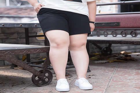 大象腿.jpg
