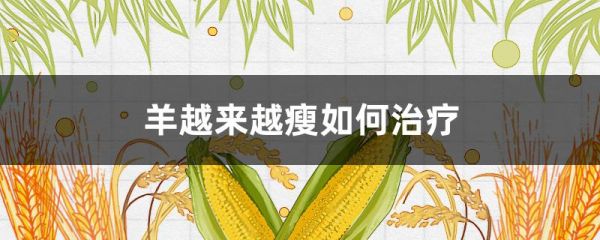 羊越来越瘦如何治疗