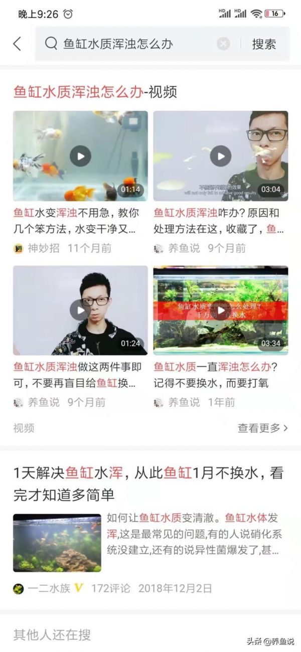 觀賞魚不吃東西，跑不出這 4 方面原因，在魚缸里找問題 