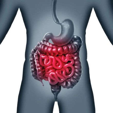 如何判断肠道是否健康，怎么样才能保持肠道健康呢？
