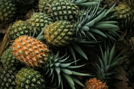 如何判断肠道是否健康，怎么样才能保持肠道健康呢？