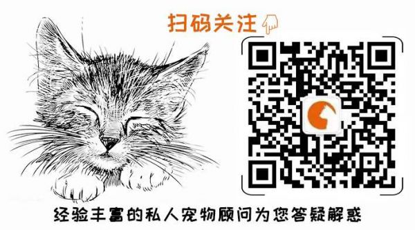 扫描二维码 关注唯宠猫狗公众号