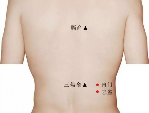 這個穴位，是腹部脂肪的克星