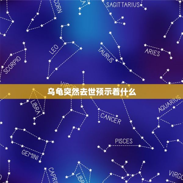 烏龜突然去世預(yù)示著什么，養(yǎng)了幾十年的烏龜突然死亡了這是什么兆頭