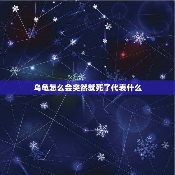 烏龜怎么會(huì)突然就死了代表什么，烏龜死了是有什么預(yù)兆