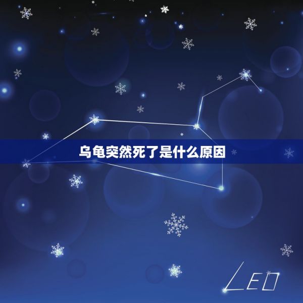 烏龜突然死了是什么原因，我家的龜龜為什么突然死了