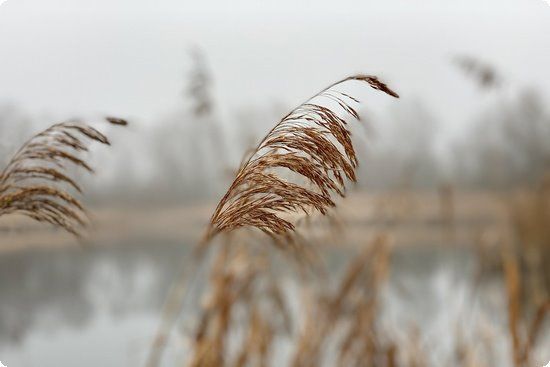 现在改流行暴瘦了？颖儿惊现排骨胸周秀娜美胸缩水