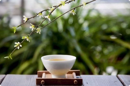 我體重超標(biāo)，吃黃金搭檔益生菌可以瘦嗎？