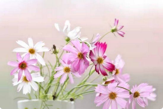 如何才能快速减肥瘦身？