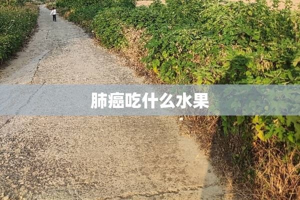 肺癌吃什么水果