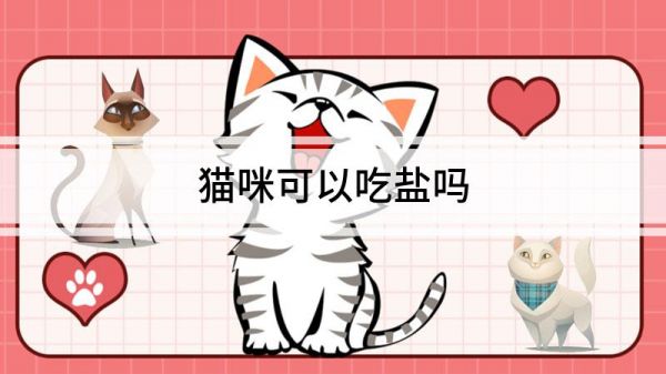 貓咪可以吃鹽嗎