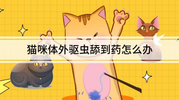 貓咪體外驅蟲舔到藥怎么辦