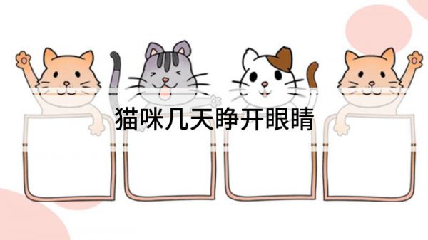 貓咪幾天睜開眼睛