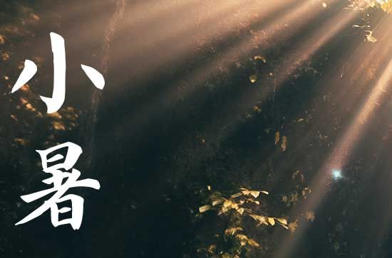 2023小暑是头伏吗 头伏第一天是哪一天2023