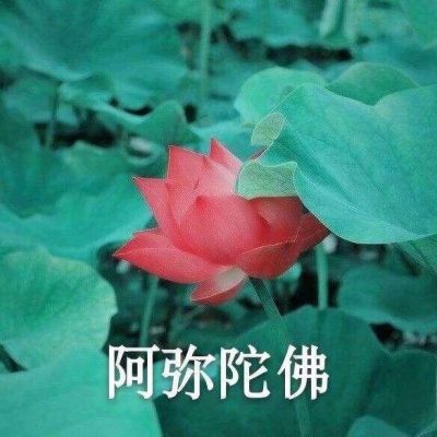 李老師