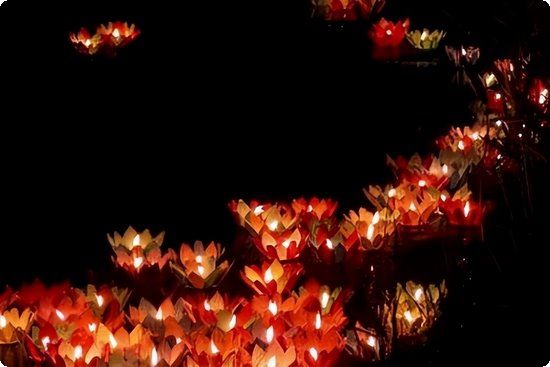 达人自曝一周减肥餐快速暴瘦9斤