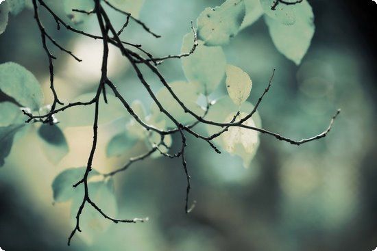 达人自曝一周减肥餐快速暴瘦9斤