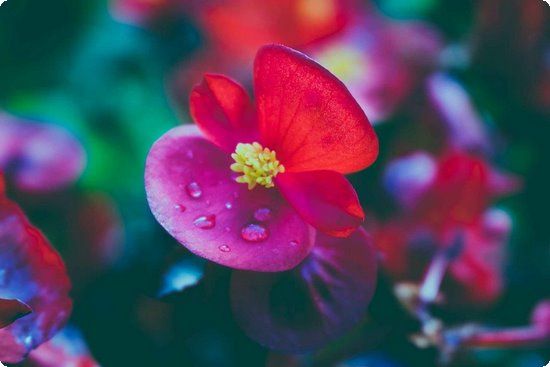 如何在21天内瘦下20公斤 健康的体重管理方法介绍