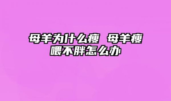 母羊为什么瘦 母羊瘦喂不胖怎么办