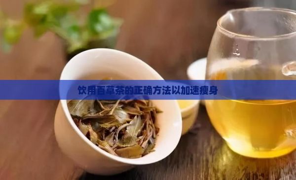 飲用百草茶的正確方法以加速瘦身
