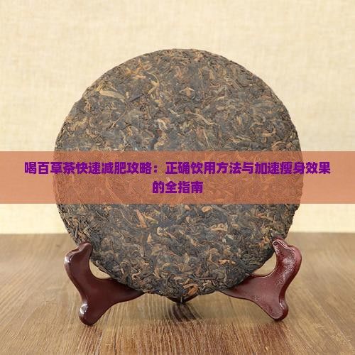 喝百草茶快速減肥攻略：正確飲用方法與加速瘦身效果的全指南